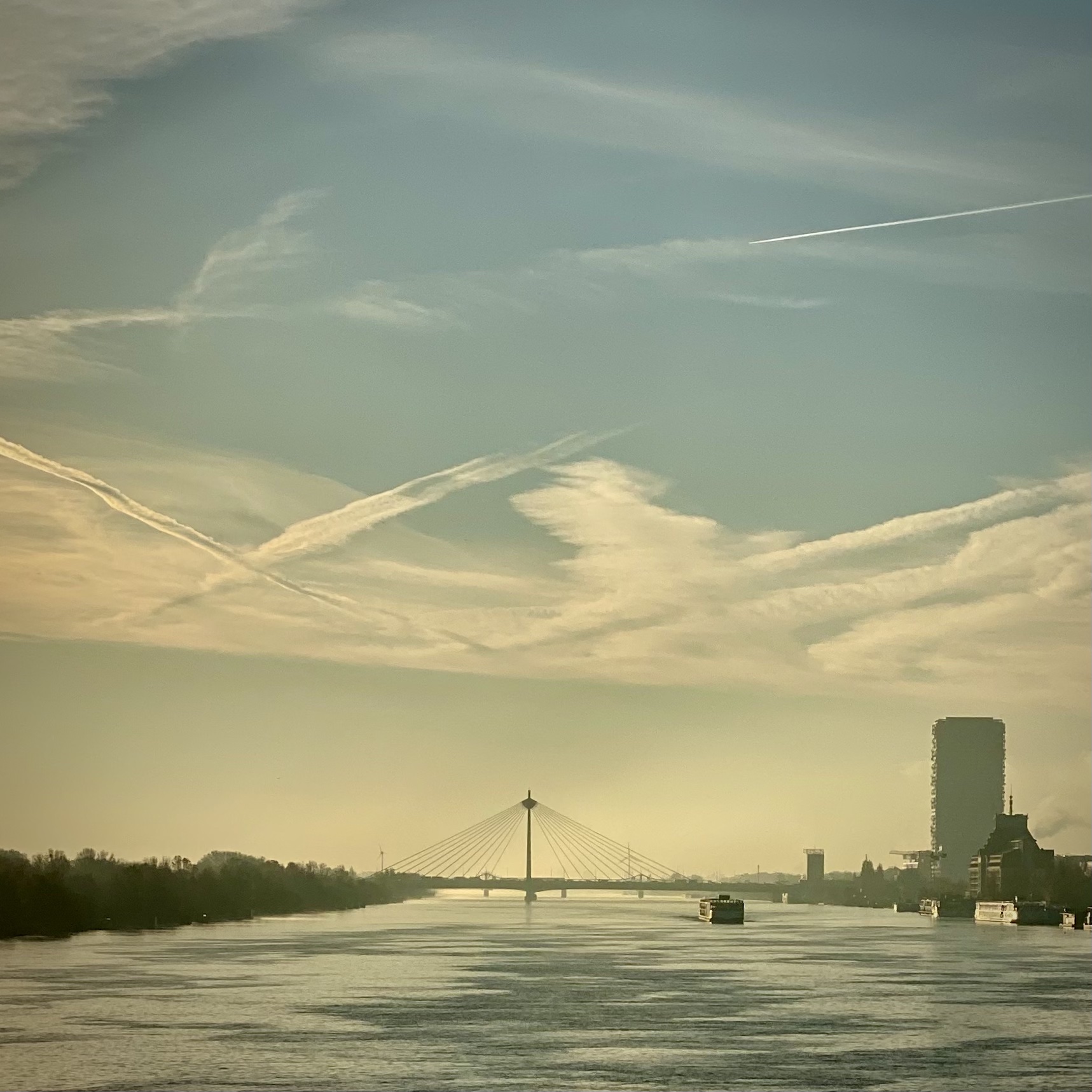 Die Donau von der Wiener Reischsbrücke aus gesehen, im Morgenlicht, im Hintergrund ein Lastschiff
