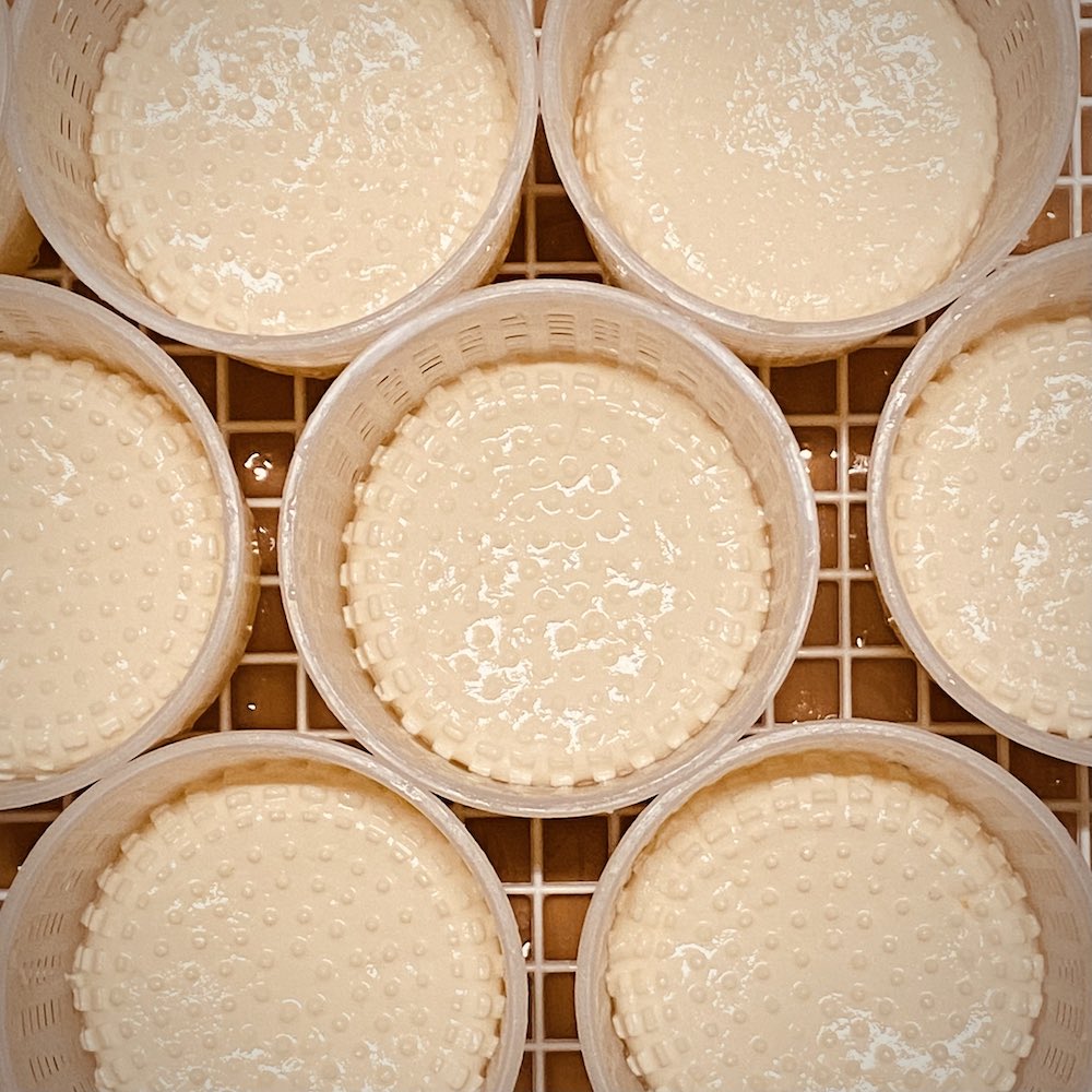 Sieben frische Käselaibe in Körbchen von oben gesehen