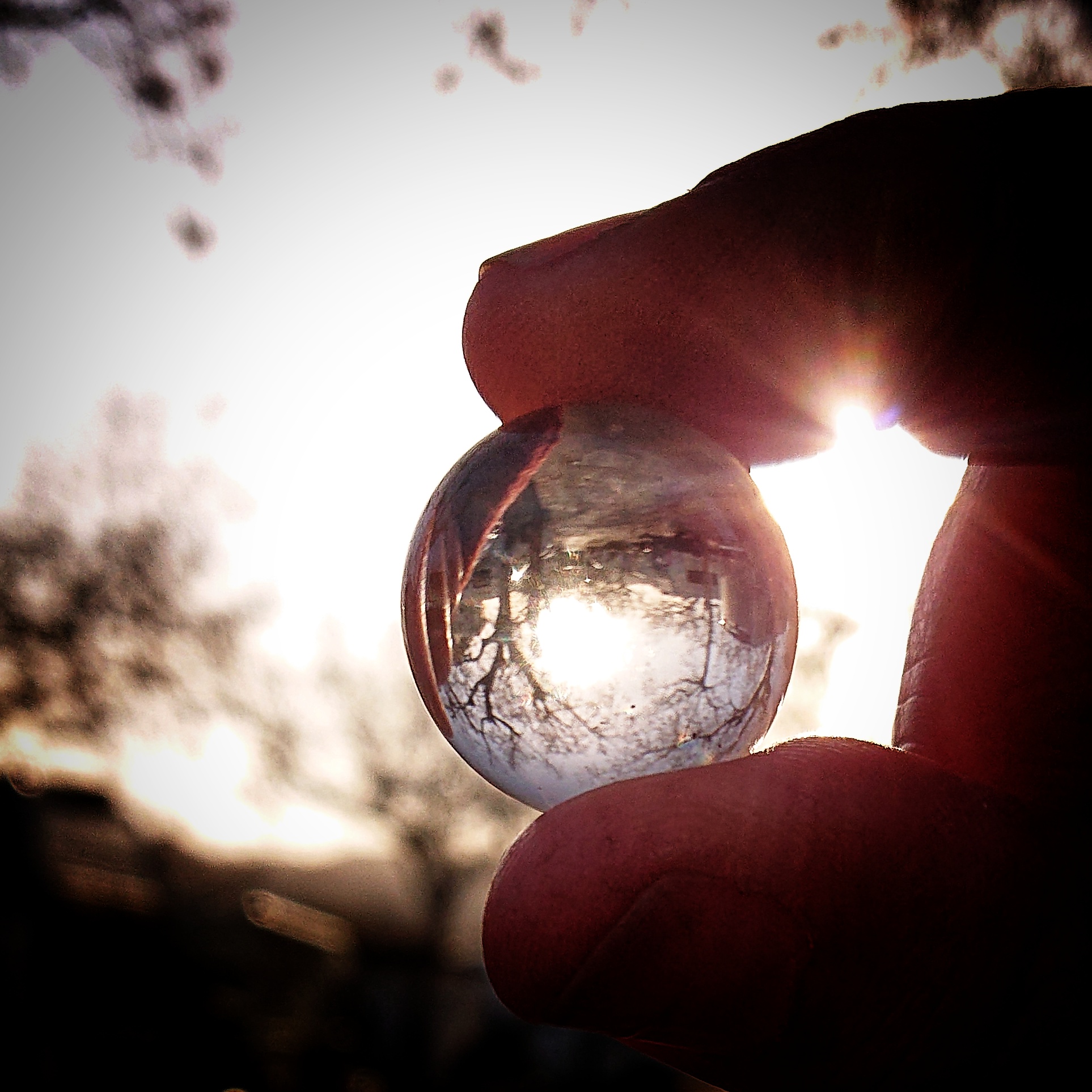 Eine Bergkristallkugel, zwischen zwei Fingern gehalten, im Kristall das Bild eines Baums auf dem Kopf stehend.