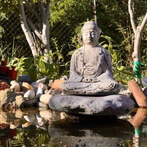 Eine Buddha-Statue sitzt auf einem Stein über einem Gartenteich, dahinter sonnenbeschienenes Grün